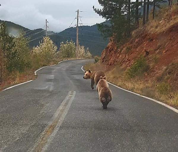 DEN ANTEJAN KAI ESPASA THN KARANTINA