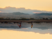 Ερχεται το 21ο Φεστιβάλ Γαλλόφωνου Κινηματογράφου