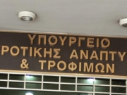 Σε δημοπρασία παλιά είδη του πρ. ΚΕΠΠΥΕΛ