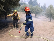 Προσλήψεις 500 δασοκομάντος