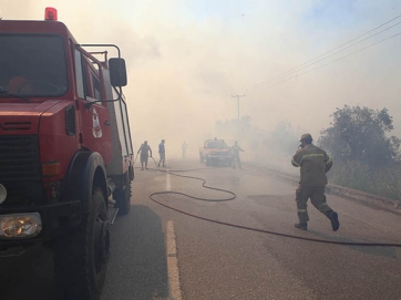 Πύρινα μέτωπα σε Φωκίδα, Ζάκυνθο και Σχηματάρι