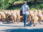 Αγροκτηνοτροφική σύσκεψη για ευλογιά και αποζημιώσεις