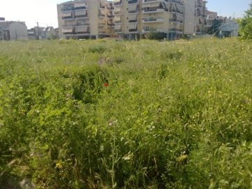 Επειγόντως καθαρισμός στη Θηραμένους