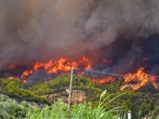 Πύρινα μέτωπα  σε Εύβοια, Ηλεία,  Μεσσηνία, Χαλκιδική