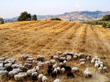 Συνεχίζεται ο αγώνας για περιορισμό της ευλογιάς