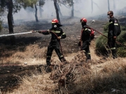 Υπό πλήρη έλεγχο η φωτιά στο Κερατσίνι