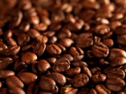 Απαγόρευση εισαγωγής 21 τόνων καφέ προέλευσης Ινδίας, λόγω παρουσίας εντόμων