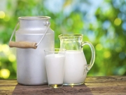 Αρνητική εμφανίζεται εφέτος η εικόνα της αγοράς γάλακτος