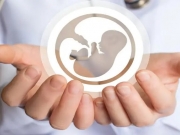 Εξωσωματική Γονιμοποίηση, Σύγχρονες Επιλογές &amp; Λύσεις