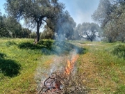 «Οχι στην καύση φυτικών υπολειμμάτων καλλιεργειών»