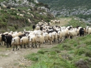 Αγροτικό ημερολόγιο