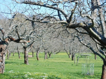 Πληρώθηκε η ζημιά στο προανθικό στάδιο