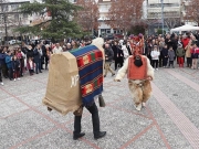 Ξεσήκωσαν γουρουνοχαρά και Ντιβιτζήδες