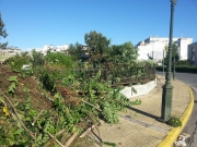 Η Διεύθυνση πρασίνου για την αποκομιδή κλαδιών