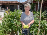 «Σπέρνει» προσφορά και αλληλεγγύη!