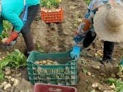 Greekfarms.gov.gr: Ένα παράθυρο σε όλο τον κόσμο για τα ελληνικά αγροδιατροφικά προϊόντα