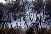 Υπό έλεγχο τέθηκε η μεγάλη φωτιά στη Ρόδο