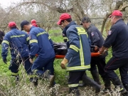 Βρέθηκε σώος να κρατιέται  από κλαδί σε γκρεμό