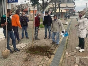 Δενδροφύτευση  στους Σοφάδες