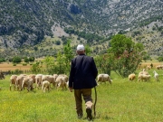 Κτηνοτροφική σύσκεψη  στον Τύρναβο