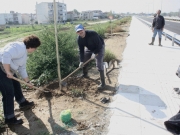 Άσφαλτος σε πράσινο φόντο…