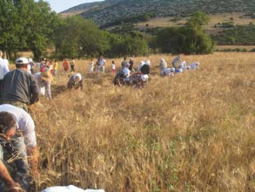 Γιορτή θέρους στην Κρανιά Ελασσόνας