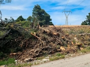 Πάνω από 620.000 δηλώσεις για καθαρισμούς οικοπέδων