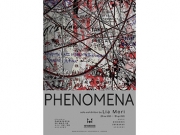 «Phenomena» της Λίας Μώρη