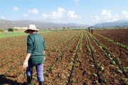 Οι βεβαιώσεις για επικαιροποίηση του Μητρώου Αγροτών