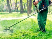 Παράταση στις δηλώσεις καθαρισμού οικοπέδων