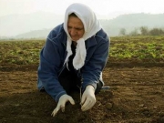 Καταβλήθηκε  το βοήθημα  σε πολύτεκνες αγρότισσες