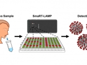 Ανέπτυξαν  ακριβές και  φθηνό τεστ για  γρίπη-κορωνοϊό