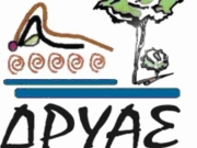 Συνέλευση και κοπή πίτας της «Δρυάς»