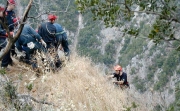 Σκοτώθηκε μαζεύοντας τσάι