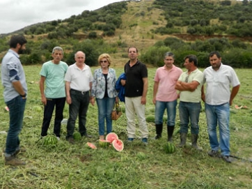 Το χαλάζι έφερε απόγνωση στο Μακρυχώρι