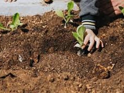 Αιτήσεις για χορήγηση έκτασης στον δημοτικό Λαχανόκηπο Λάρισας