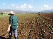 GAIA ΕΠΙΧΕΙΡΕΙΝ:Νέα διοίκηση και μείωση του ποσοστού προμήθειας από τα ΚΕΑ για το ΟΣΔΕ