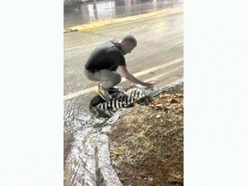 * ΜΙΚΡΟΠΡΟΒΛΗΜΑΤΑ στη Λάρισα, μια καλοκαιρινή μπόρα ήταν άλλωστε, δεν ήταν δα και πλημμύρα. Ωστόσο ο δήμαρχος βγήκε έξω, ο ίδιος προσωπικά στις λάσπες, να βοηθήσει καθαρίζοντας φρεάτια. Επικοινωνιακή τακτική βέβαια, με τη φωτογραφία να διανέμεται επισήμως, που όμως μάλλον θίγει τον δημοτικό μηχανισμό, δεν τα καταφέρνει δηλαδή ούτε στις μικρές δυσκολίες; Επομένως να είναι έτοιμος ο κόσμος με τα φτυάρια παρά πόδα; (Αντιγράφει άραγε ο Θαν. Μαμάκος τον Μπέο; Αχ, αχ, αχ…). Ζ.