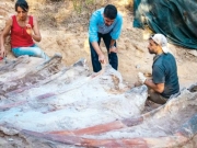 Βρήκε δεινόσαυρο  στην πίσω αυλή του