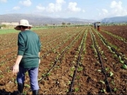 Γυναικεία αγροτική επιχειρηματικότητα και ανάπτυξη της ελληνικής υπαίθρου