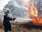 Φωτιά σε δασική έκταση στην Εύβοια