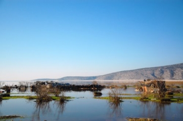 Το θέμα της Κάρλας στην επιτροπή Ποιότητας Ζωής