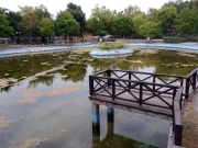 Το «έλος» στο Κηποθέατρο που θέλει να ξαναγίνει… λίμνη