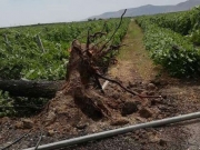 Σε κατάσταση έκτακτης ανάγκης ο Δήμος Τυρνάβου