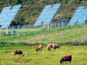 Επιχορηγούνται επενδύσεις σε ποσοστό 50% - 60% του προϋπολογισμού τους