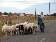 Στους κτηνοτρόφους ο λογαριασμός για τους βοσκότοπους