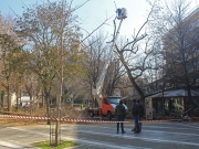 * Των φρονίμων τα παιδιά  ...πριν πεινάσουν μαγειρεύουν...