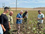 Αμεσες εκτιμήσεις στις ζημιές από το μπουρίνι