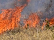 Συνελήφθη πανεπιστημιακός για 4 εμπρησμούς