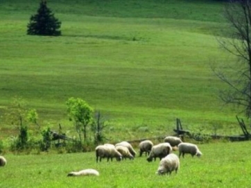 Εκδόθηκε η ΚΥΑ για τα Διαχειριστικά Σχέδια Βελτίωσης